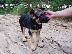 -北京密云天门山风景区