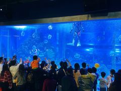 -顺德南宏海立方海洋公园