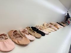 -上海路易十四芭蕾良品舞蹈用品店(美丽华商务中心店)