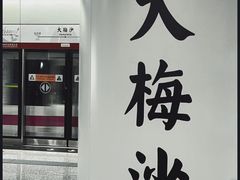 -大梅沙海滨公园