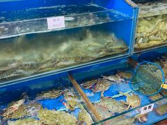 水产区-张树军海鲜(王府壹号店)