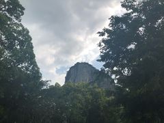 -七珍佛山