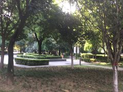 -木塔寺遗址生态公园