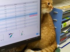 -康成宠物医院24H·CT·核磁共振