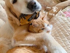 -百好乐宠物友好餐厅(朝外大街店)