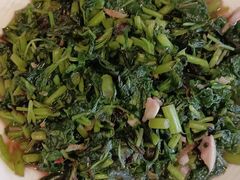 -天鹅到家·保姆月嫂育儿嫂(朝阳店)