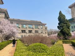 -山东师范大学(千佛山校区)