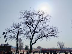 -大明宫国家遗址公园·御道广场