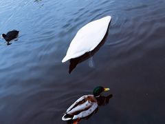 -海德公园