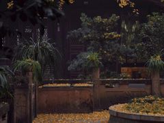 -青羊宫