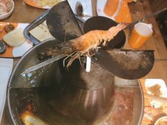 -津门羊大爷·铜锅涮肉(黄河道店)