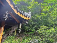 -凤栖山