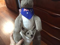 -PAWTOY爪e玩偶店(天兴罗斯福店)