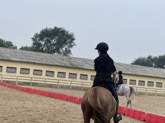 -北京群众马术培训基地