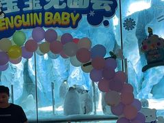 -帝企鹅自助餐厅•儿童岛•真企鹅(长隆企鹅酒店)