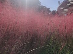 -牛岗山公园