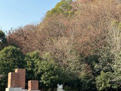 -狼山风景名胜区