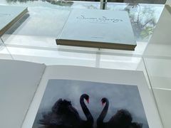 -罗红摄影艺术馆