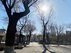 -文瀛公园
