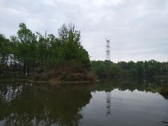 -桤木河湿地公园