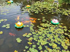 -白马涧龙池景区