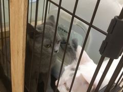 -iF摄影•全家福•证件照•形象照(南山店)