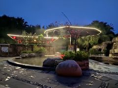 -雅安楠水阁温泉酒店