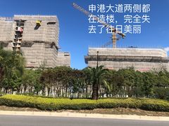 -滴水湖