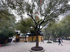 -西园戒幢律寺