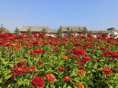 -长春北湖公园