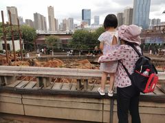 -昆明动物园