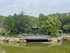 -广州市帽峰山景区