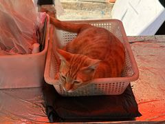 -颓记茶餐厅(美景总店)