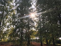 -上海海事大学(临港校区)