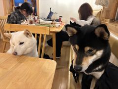 -柴の食堂·日式家庭料理·熊之肆(大学路店)