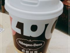 -哈根达斯(石家庄北国店)