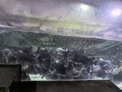 -泉城欧乐堡海洋极地世界