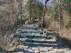 -北京鹫峰国家森林公园