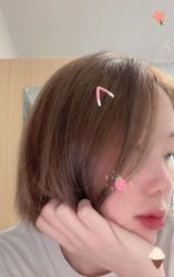 -蚂蚁造型俱乐部