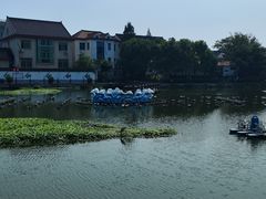 -金山嘴渔村