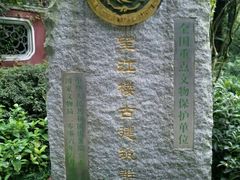 android_upload_pic-望江楼公园