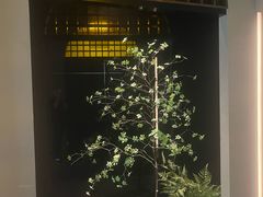 -隐溪茶馆(金虹桥店)
