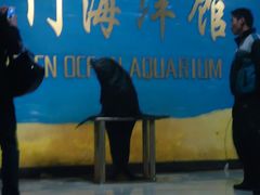 android_upload_pic-洛阳龙门海洋馆