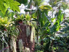 -北京植物园-展览温室