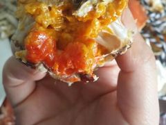 android_upload_pic-喜洋洋蟹庄(阳澄湖店)
