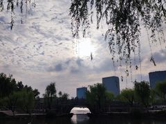 -大宁公园