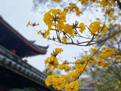 -光孝寺