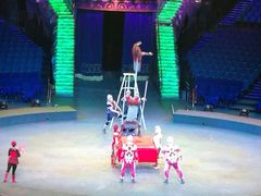 -珠海横琴长隆《卡卡虎奇遇记》