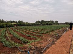 -侯臣咖啡文化村