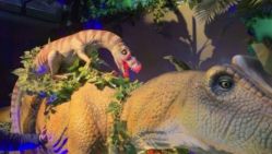 -恐龙探索乐园(磁器口店)